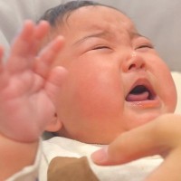 赤ちゃんが泣いていると『2頭のシベリアンハスキー』が近づいてきて…ベビーシッターのような光景に感動「なんて可愛い関係」「頼もしすぎる」