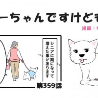 ちーちゃんですけどもっ【第359話】「お散歩中の会話」