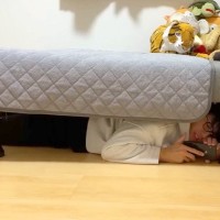 大型犬と猫に内緒で『見つからないように隠れてみた』結果→『さすがに見つかった』と思ったら…まさかの展開に反響「可愛すぎ」「笑い止まらんｗ」