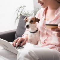 犬を飼うのに『絶対必要な貯金額』とは？迎える前に知っておくべき飼育費用まで解説