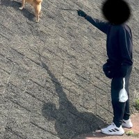 『急な斜面』を駆け上がる犬→思った以上に『得意げな表情』が可愛すぎると259万表示「ヤギ顔負けｗｗ」「小学生男子の心を持ってる」と反響