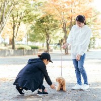 『モラルがない』と思われる犬の飼い主の行動５選　周りから軽蔑される絶対NG行為とは