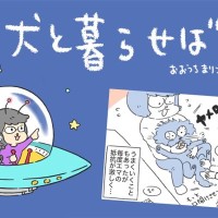 犬と暮らせば【第540話】「ゼッタイ飲まないマン」