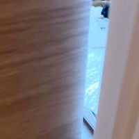 『仕事、がんばるぞ』と部屋に入った結果→犬と猫がゴロゴロしていて…仕事できるわけがない光景が53万再生「ぬいぐるみかとｗ」「混ざりたい」