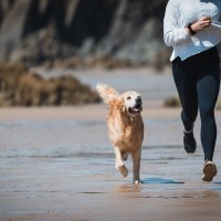 『犬に追いかけられる夢』を見る心理4選　どんな意味があるの？飼い主の精神状態まで