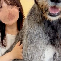 『本当に子犬…？』まだ生後6ヶ月の子犬→AIを疑うほどの『衝撃的なデカさ』に1万いいね集まる「まだ大きくなるのヤバい」「凄すぎるｗｗ」