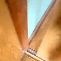 1時間だけ買い物に行った男性→ドアを開けると『元野犬』が出てきて…想像以上の『愛に溢れた歓迎』が51万再生「大好きなんだ」「可愛すぎ」