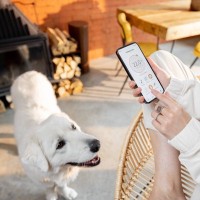 犬がいる部屋の『適正温度』は何度？愛犬が快適に過ごすための室温管理方法とは