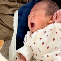 泣き止まない赤ちゃん→気付いた犬が『ボール』を運んできて…『一生懸命に泣き止ませようとする光景』に感動「なんて優しい…」「愛だね」