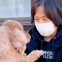 大好きなおばあちゃんとお別れをする犬→帰り際、後ろ姿を見たら…切なすぎる『バイバイの瞬間』が8万再生「大好きが伝わる」「離れたくないね」