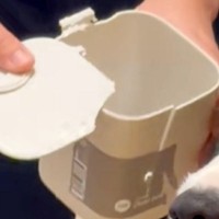 ゴミ箱を壊した犬→『これは何？』と事情聴取をした結果…あまりにも人間すぎる『表情』に反響「100点満点の反応ｗ」「分かってる顔で草」