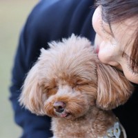 犬がみせる『ツンデレ』すぎる行動3つ　冷たい態度をとってきたときの対処法とは？