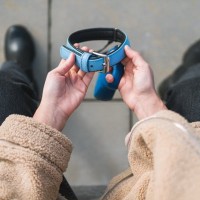 犬が亡くなったときの『供養方法』5選　いざという時のための事前準備や手順まで