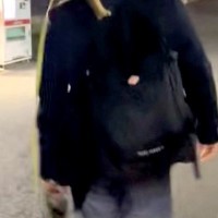 仕事帰り、お迎えに来た柴犬が歩かなくなってしまった結果→思わず二度見する『衝撃の帰宅スタイル』が127万再生「ポケモンで草」「癖がｗ」