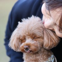 犬が『あなた嫌いです』と言っているサイン５選　苦手な人にみせる行動や好かれるコツまで