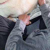 新聞を読んでいる父→犬が『撫でてほしい』と近づいてきて…自分勝手な『まさかの方法』に反響「かわいすぎるｗｗ」「うちの犬もやってました」