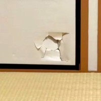 押入れの戸を破壊した犬→『うそでしょー』と思っていたら、穴から…『怒るに怒れない光景』に爆笑「卵から生まれた感ｗｗ」「え、かわいい」