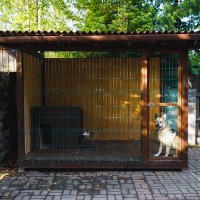 犬を『外飼いしてはいけない』理由6選　起こり得るトラブルや室内飼いのメリットまで