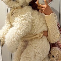 『小型犬を飼ったはずが…』思った以上に成長した結果→目を疑う『衝撃の光景』に6万いいね「でっかいぬいぐるみかとｗｗ」「もはや大型犬で草」