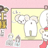 うちの王様にはどうしても抗えない【第356話】「撮りにくいポーズ」