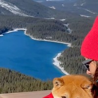 高いところが大好きな犬を『展望台に連れて行った』結果→『喜ぶかな』と思いきや…まさかのリアクションに反響「人間の子供みたい」「可愛いｗ」