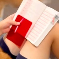 英検の試験を翌日に控えた女の子→犬たちが集まってきて…『絶対に集中できない光景』が12万再生「悟りの境地ｗｗ」「天国やん」「羨ましい」