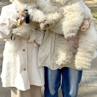 2匹の犬を抱っこして『記念撮影』をした結果→脳がバグる『奇跡の1枚』に3万いいね集まる「完全に錯覚起こしたｗｗ」「絶対AIだと思った」