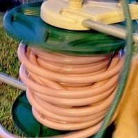 ふと庭で遊ぶ犬を見たら、なぜか『ホース』に突っ込んでいて…意味不明な『まさかの光景』に5万いいね「なんでわざわざｗ」「どうしてそうなる」