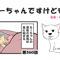 ちーちゃんですけどもっ【第360話】「こんな時ばかり誘ってくる」