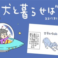 犬と暮らせば【第541話】「怖かったコト」