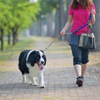犬に絶対NGな『リードの持ち方』５選　重大な事故やケガを引き起こすタブー行為まで