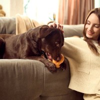 犬が『新しいモノ』を嫌がる心理５選　ベッドやおもちゃを与えても使ってくれない理由とは？