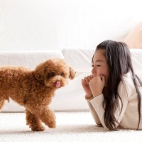 犬が持っている『驚きの能力』7つ　意外と知られていない習性や暮らしの中で役立つスキルとは？