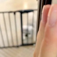 トリミングサロンに3時間預けた犬をお迎えへ→ドアを開けた瞬間に…『数年ぶりの再会』のような光景に反響「遅い！って言ってるｗ」「可愛い」