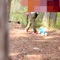 『ママっ子な犬』とドッグランへ→内緒で隠れてみたら『ママがいない』と気付いて…『発見した瞬間』が尊すぎると反響「愛おしい」「優しい子」