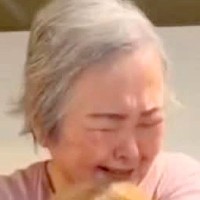 15歳の愛犬を亡くし、悲しむおばあちゃん→『そっくりなぬいぐるみ』を贈ると…感動的な『涙の再会』が32万再生「美しい光景」「泣いちゃう」