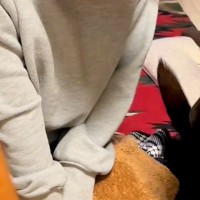 『お腹が痛い』と苦しんでいたら、見ていた大型犬が『大丈夫？』と近づいてきて…『心配の表情』に感動「顔だけで気持ち伝わる」「なんていい子」
