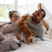 犬が『友達だと思っている人』にみせる行動5選　仲間だと認識しているときにみせるサインとは？