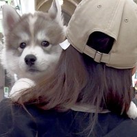 軽々と抱っこされる赤ちゃん犬→10ヶ月後に『同じ場所で撮影した』結果…もはや別犬のような『成長』に8万いいね「凄い」「自認赤ちゃんｗ」