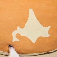洗い物が終わり、ふと犬を見てみた結果→『北海道のクッション』と寝転がり…奇跡的な『まさかの瞬間』に2万いいね「完成度ｗ」「青森の角度ｗ」