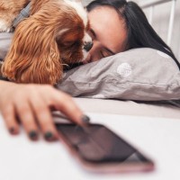 犬が飼い主に顔を擦り付ける心理5つ　何度もスリスリしてくる理由とは？