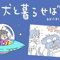 犬と暮らせば【第542話】「エマの回復」