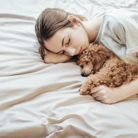 犬が飼い主と『一緒に寝てくれない』理由５選　見直すべき睡眠環境や愛犬の本音まで解説
