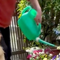 おばあちゃんがお花に水やりをしていたら、なぜか大型犬が近づいて…『ぼくもお手伝いするよ』愛に溢れた優しい光景に絶賛「偉いね」「お水ｗ」