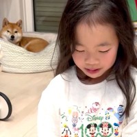 6歳の女の子に『叱るフリ』をした結果→近くにいた犬が勘違いをして…放っておけなくて見せた『健気な行動』が13万再生「最高の姉」「可愛い」