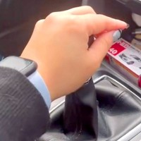 車で出かけようとする女性→シフトレバーを握ると『助手席に乗った大型犬』が…『まさかの行動』が30万再生「妨害してて草」「可愛いたまらん」
