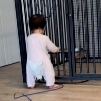 体重差が50キロもある『小さな女の子と超大型犬』→心配でいつも様子を見ていて…『相思相愛な光景』に反響「優しいお兄ちゃん」「仲良し」