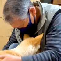 介護が必要な犬が『子犬の時に優しくしてくれたおじいちゃん』と再会した結果…あまりにも『感動的な光景』が6万再生「涙が出た」「愛伝わる」