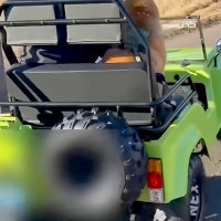乗り物が大好きな犬に、サプライズで『本物の車』を買った結果→乗せてみると…愛おしすぎる光景が77万再生「駄々こねてて笑うｗ」「嬉しそう」