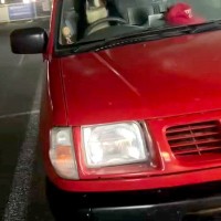 モスバーガーで買い物中『大型犬に車で待ってもらった』結果→戻ると『運転席』にいて…まさかの『違和感が無さすぎる光景』に12万再生の反響